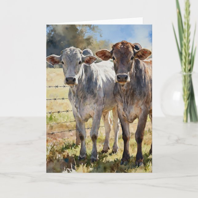 Brahman Heifers In Watercolors Kort (Framsida)