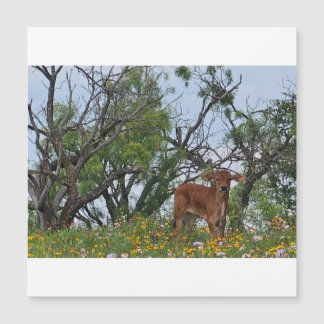 Brahman kalv i vilda blommor