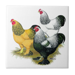 Brahmas Three Tuppar Kakelplatta