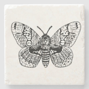 Brahmin moth teckning stenunderlägg
