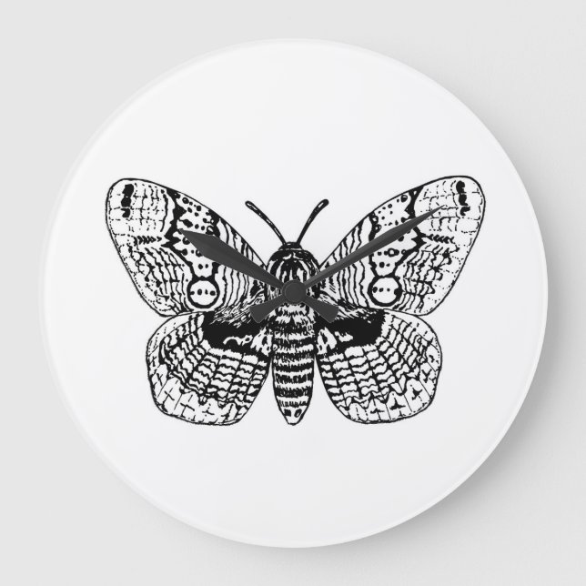 Brahmin moth teckning stor klocka (Framsida)