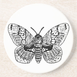 Brahmin moth teckning underlägg