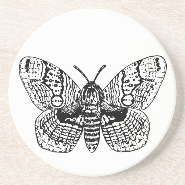 Brahmin moth teckning underlägg (Framsidan)