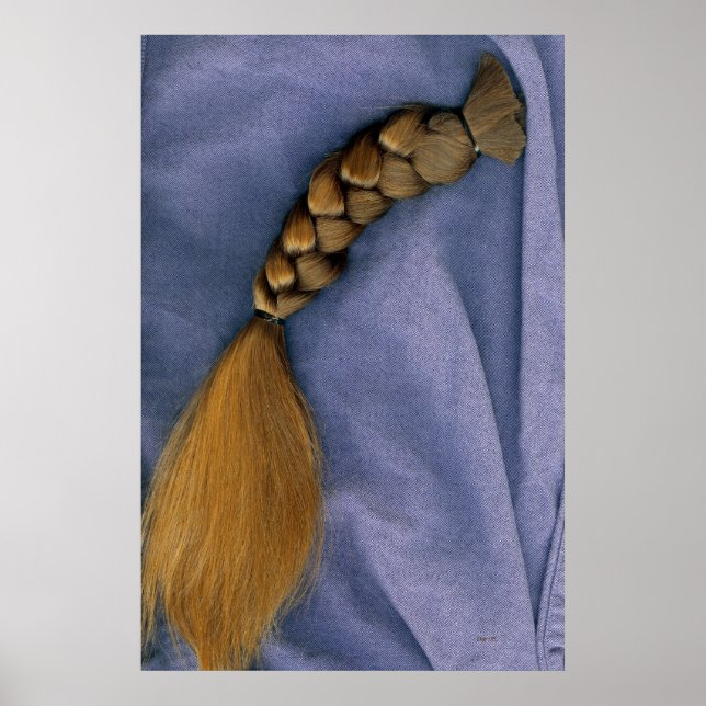 Braid Poster (Framsidan)