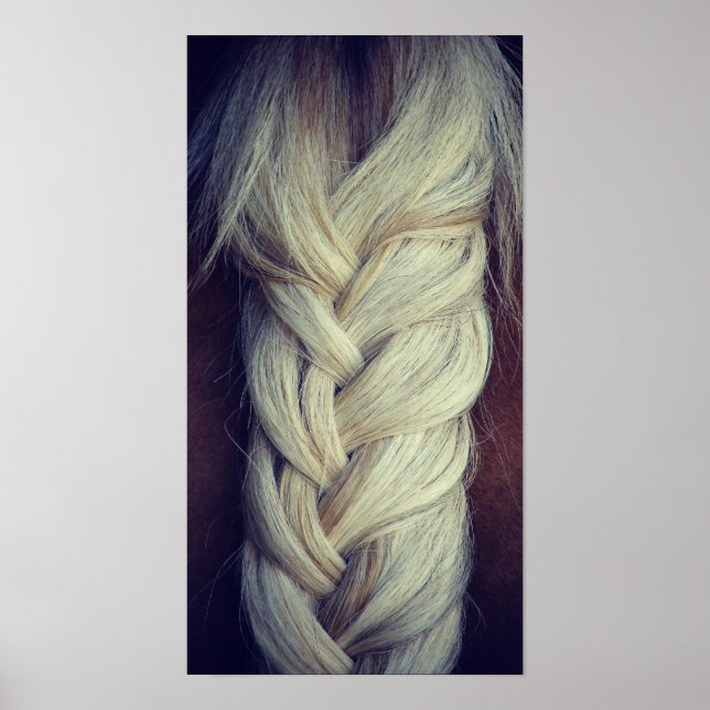 Braided Svan Poster (Framsidan)