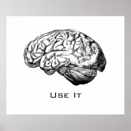 Brain Anatomy - Använda It Poster