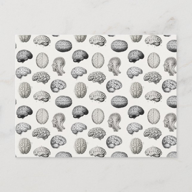 Brain Anatomy Biology Illustrations Helg Vykort (Framsida)