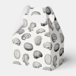 Brain Anatomy Biology Illustrations Presentaskar