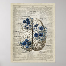 Brain Anatomy Blue Blommigt Dictionary Art Poster