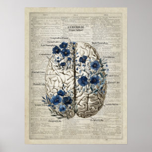 Brain Anatomy Blue Blommigt Dictionary Art Poster