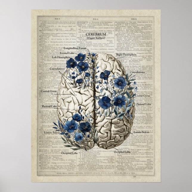 Brain Anatomy Blue Blommigt Dictionary Art Poster (Framsidan)