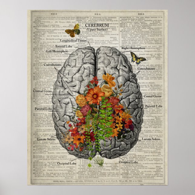 Brain Anatomy with Butterflies and Flowers Poster (Framsidan)
