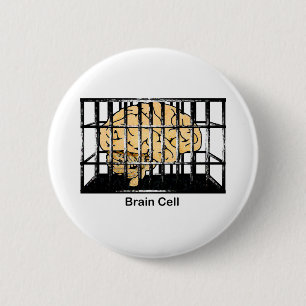 Brain Cell Knapp
