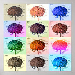 Brain/Färg Poster