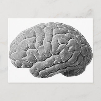 Brain Gifts Vykort
