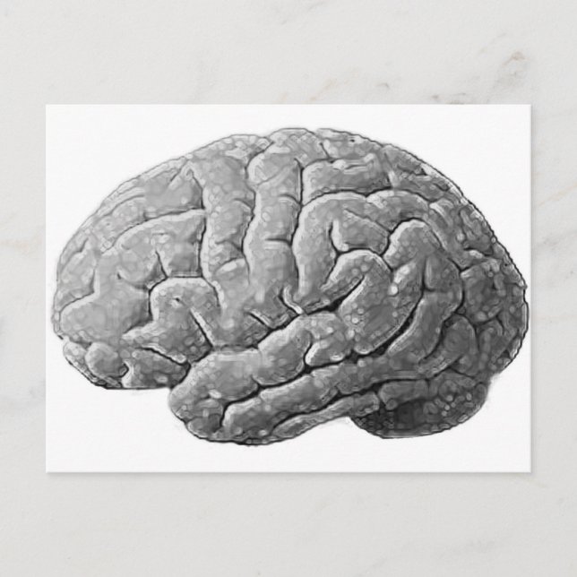 Brain Gifts Vykort (Framsida)