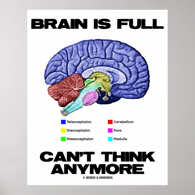 Brain Is Fullt kan inte längre Tänka (hjärnanatomi Poster (Framsidan)