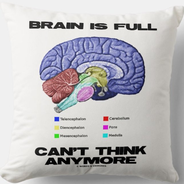 Brain Is Fullt kan inte Tänka längre Anatomical Hu Kudde (Throw pillow for anyone who has a brain that is full and just can't think anymore)