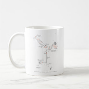 Brain Neuro Synapses Anatomy Mugg