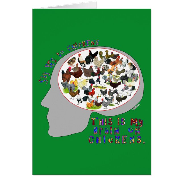 Brain On Chickens OBS Kort (Framsidan)