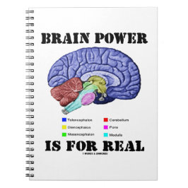 Brain Power Is For Real Brain Anatomy Attitude Anteckningsbok