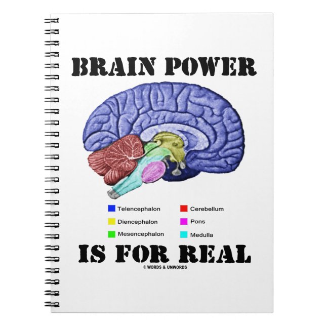 Brain Power Is For Real Brain Anatomy Attitude Anteckningsbok (Framsidan)