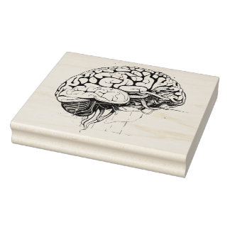 Brain Rubber Frimärke Stämpel