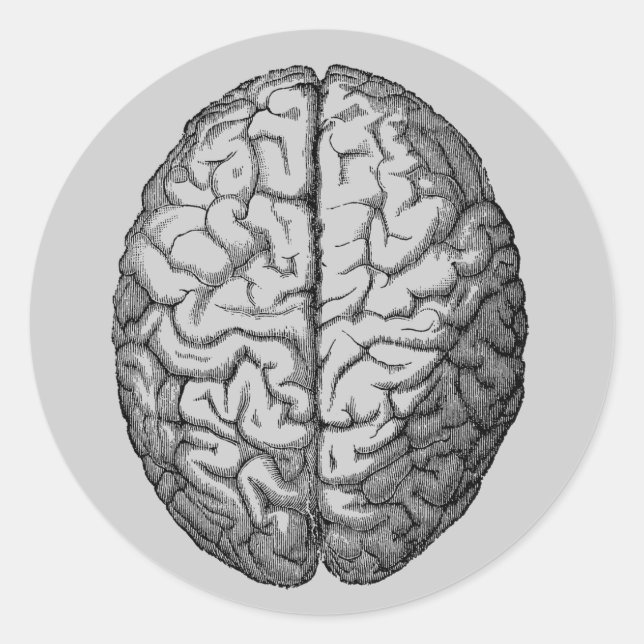 Brain Runt Klistermärke (Framsida)