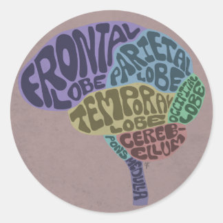 Brain Sticker Runt Klistermärke