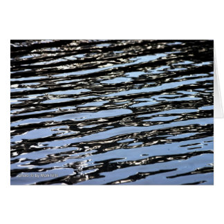 Brainard Sjö OBS Kort