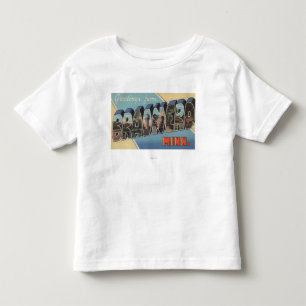 Brainerd Minnesota - stora brevplatser T-shirt