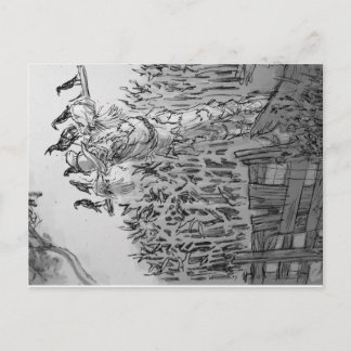 "Brainless"-Fågelskrämma. Vykort