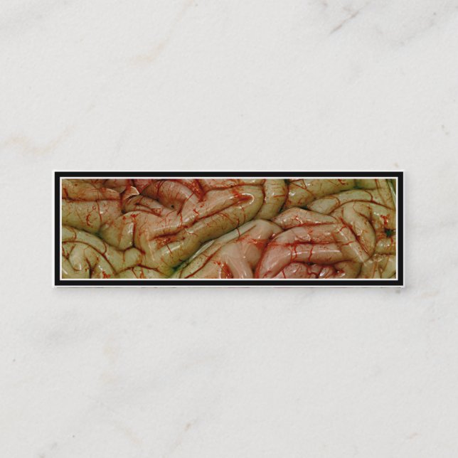 Brains, BrainZZ BRAINZZZ Mini Visitkort (Framsida)