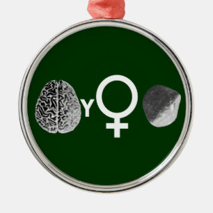 Brainy Girls Sten! Julgransprydnad Metall