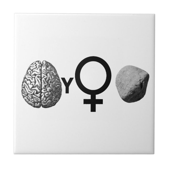 Brainy Girls Sten! Kakelplatta (Framsidan)