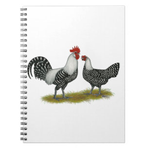 Brakel Chickens Anteckningsbok Med Spiral