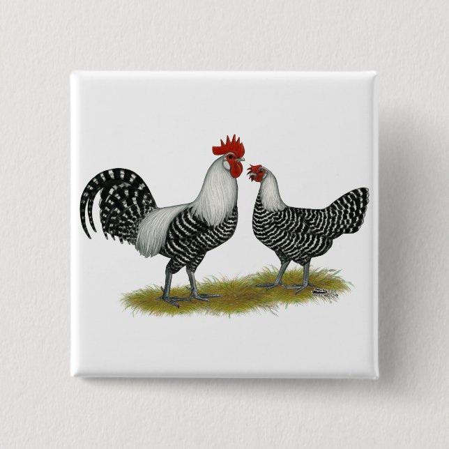 Brakel Chickens Knapp (Framsida)