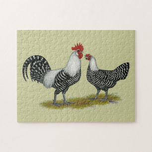 Brakel Chickens Pussel