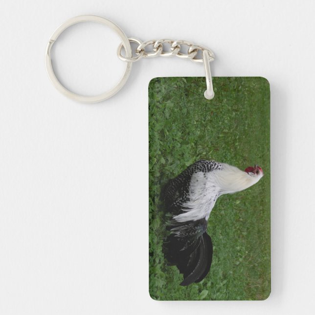 Brakel Hahn (Framsidan)