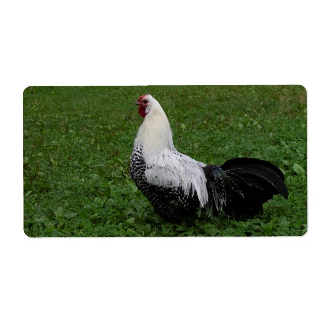 Brakel Hahn Fraktsedel (Framsidan)