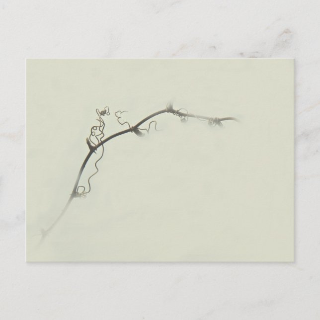 Bramble Tendrils i dimman - Minimalism Vykort (Framsida)
