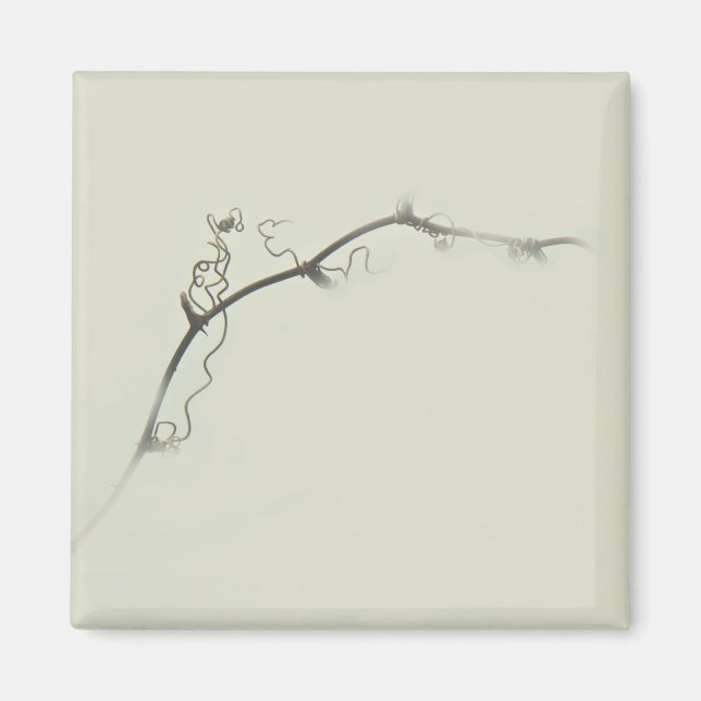Bramble Tendrils in the Fog - Minimalism Magnet (Framsidan)