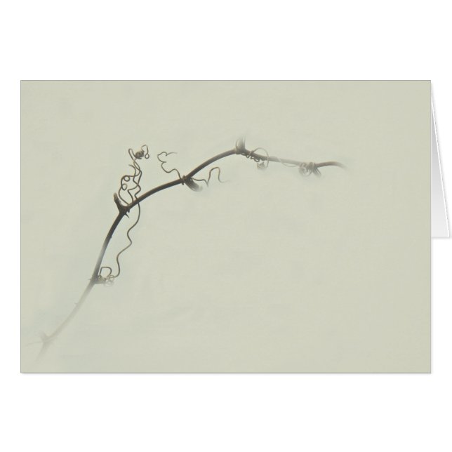 BrambleTendrils i dimman - Minimalism Hälsningskort (Framsidan Horizontal)