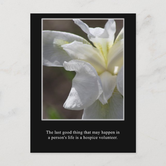 Bran av en hospice-volontär vykort (Framsida)