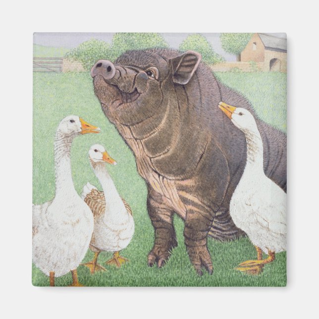 Bran Magnet (Framsidan)