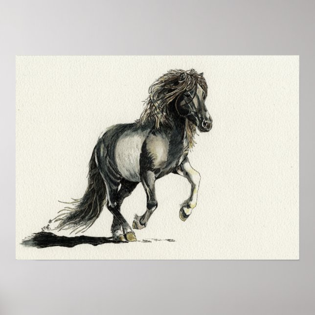 Brana Poster (Framsidan)