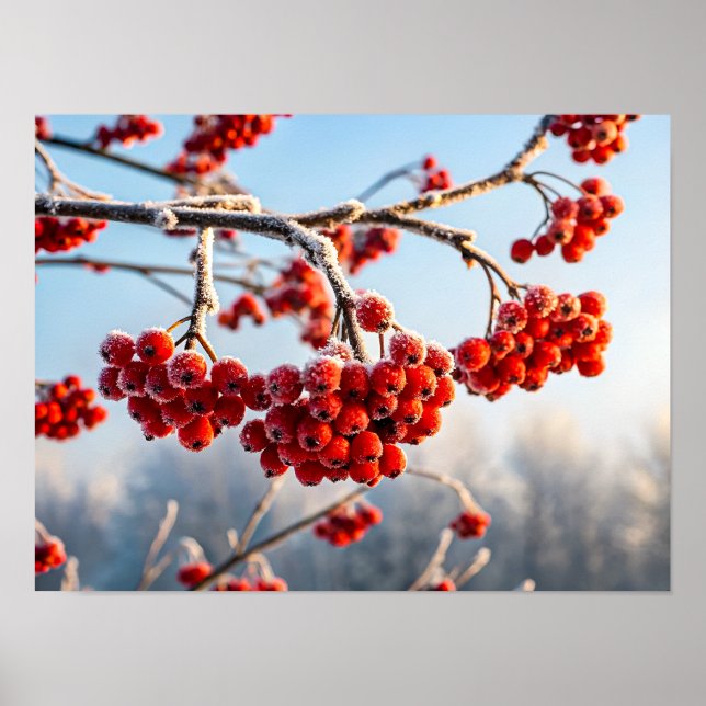 Branch of vibrant red berries poster (Framsidan)