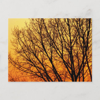 Branching Blank Notecard 1 Vykort