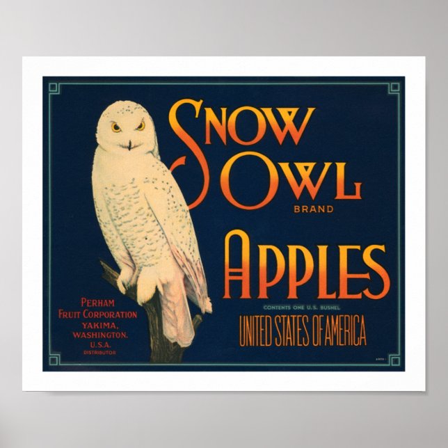 Brand Apples snö Uggla Poster (Framsidan)