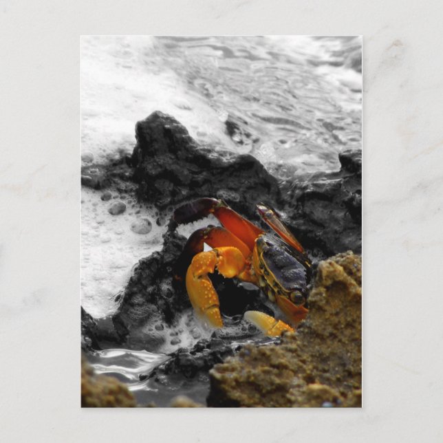 Brand i havet vykort (Framsida)